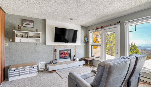 Picturesque Mt Spokane Condo Near Skiing & Biking!