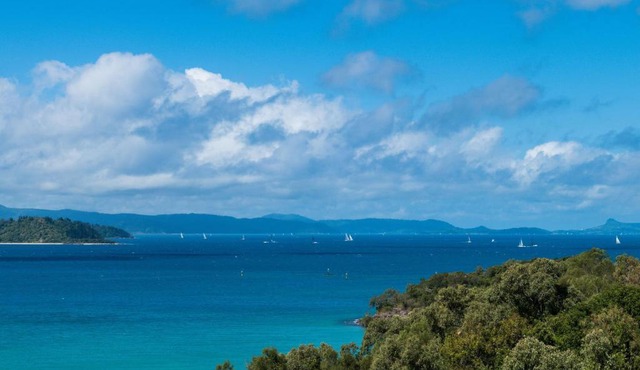 Picturesque on Passage - Shute Harbour