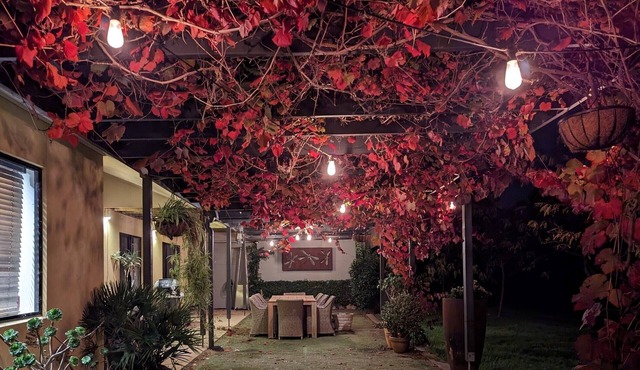 Picturesque, secluded, contemporary, self-contained, complimentary doggy daycare