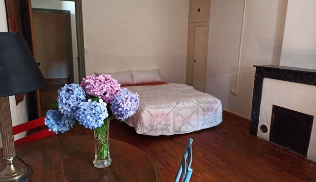 Picturesque vacation home, France des années 20', renovated in the center of Génolhac