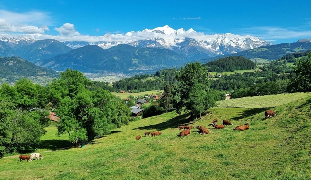 Picturesque village known as the Balcony of the Mont Blanc Massif