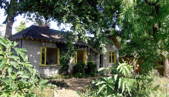 Piece of Nature in the City