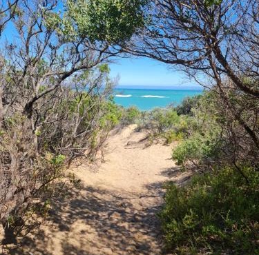 PIECE OF PARADISE, huge 4 bedroom haven