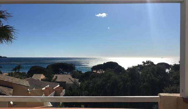 Pieds dans L'eau sea view - L'Anse de Pramousquier P&V