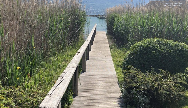 PIEDS DANS L’EAU, Sevrier, Maison, Accès privé lac et ponton. Idyllique, 6Pers