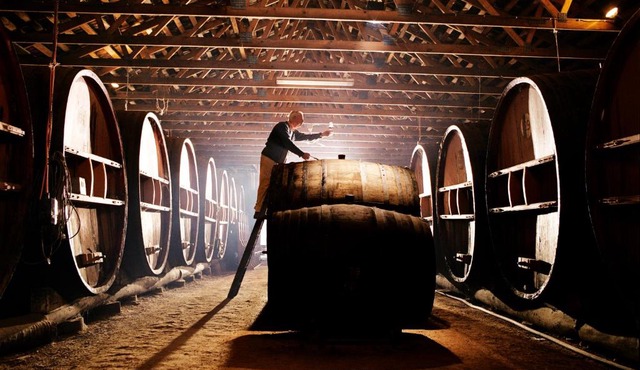 Pieter van Gent Winery & Vineyard