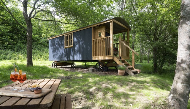 Pigeon Hole at Coes Vineyard