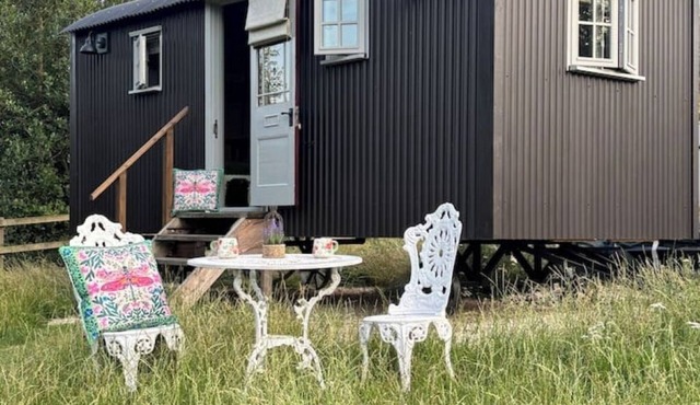 Piglet - Shepherds Hut (adult only)
