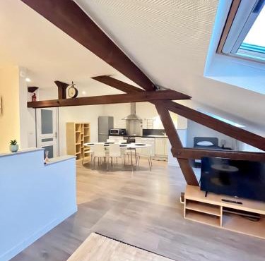 Pin's - Magnifique appartement