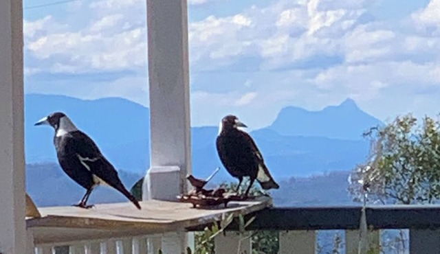 Pindari Cottage, Top of the Range