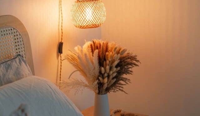 Pine Beam Sloth Apartment next to Blue Line