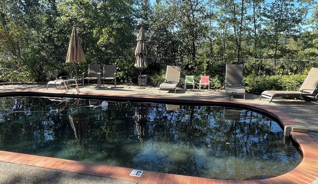 Pine Bluff House-Heated Pool, Peace and Privacy now with Solar Energy