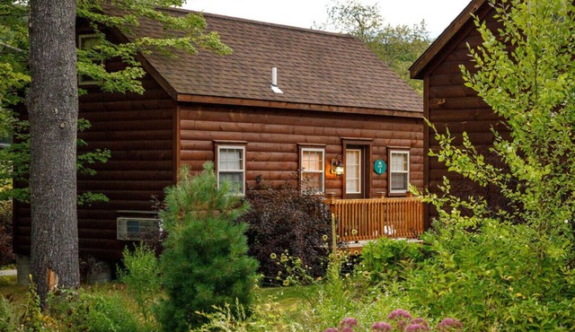 Pine Cabin #2 - 1 BR Log Cabin with Stunning Mountain Views
