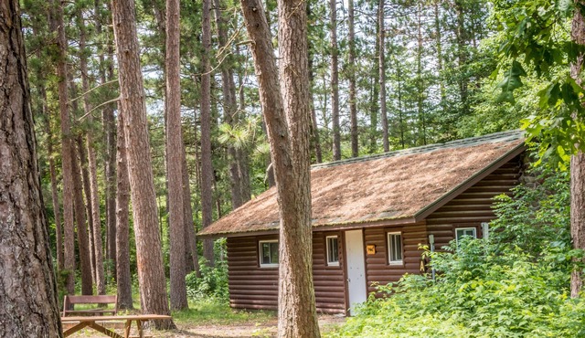 Pine Cabin - Beaver Creek Reserve