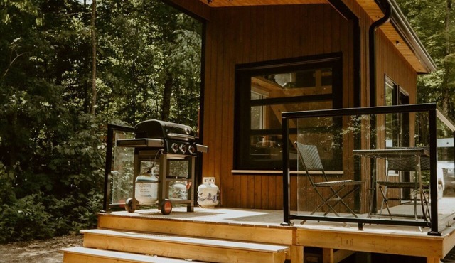 Pine Cabin | Haliburton Tiny Cabin in the Woods