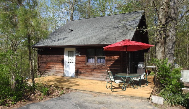Pine Cabin on 30 Acres! 1 mi. from Carbondale, IL & SIUC Campus