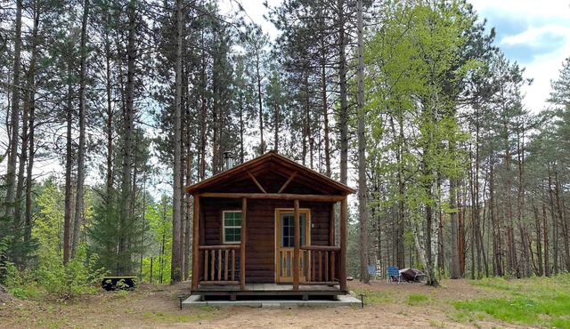 Pine Cabin