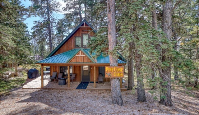 Pine Cone Cabin – A Cozy Black Hills Escape