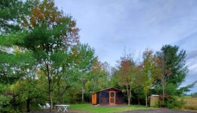 Pine Cone Off grid cabin near Watkins Glen, NY!