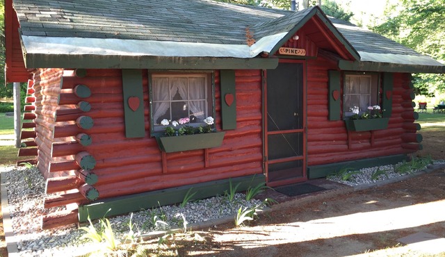 Pine · Ellis Lake Resort - Pine Log Cabin-Interlochen/Traverse City