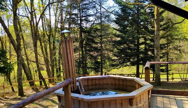 Pine Tree lodge and Nordic bath in the middle of the forest!