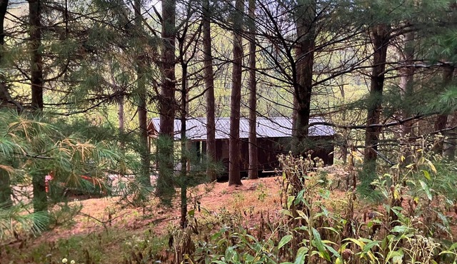 Pine Grove Cabin 30 acres of woods, meadows, pond and creek near Amish Country