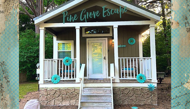 Pine Grove Escape ! 🌲