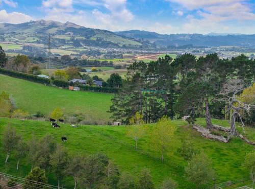 Pine Hill Cottage -Auckland