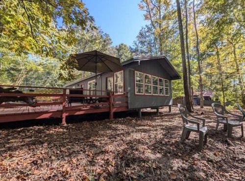 Pine Mountain Cabin with Fire Pit and Wildlife