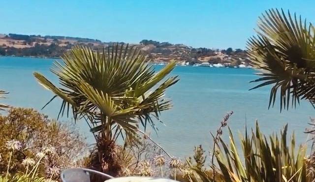 Pine-Nut Grove Cabins. A unique and beautiful place to relax and unwind.