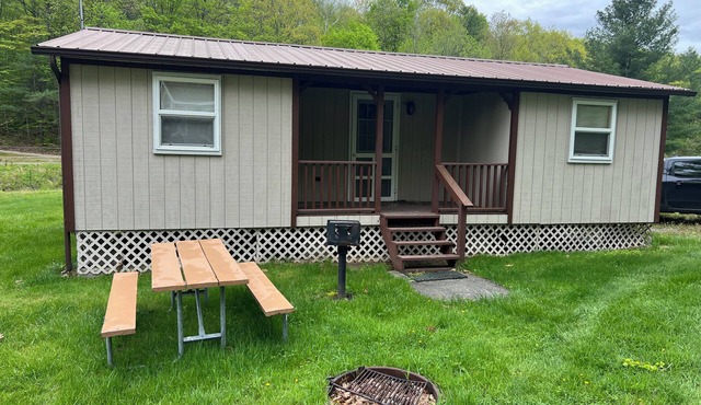Pine & Paddle Cottage- Newly renovated!