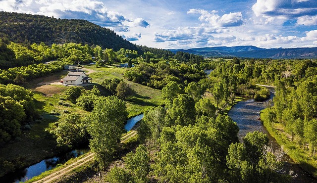 Pine River Riverside Retreat | Cabin on the Pine River, Fishing, Privacy, AC