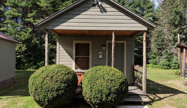 Pine Tree Motel & Cabins