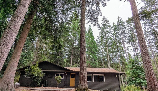 Pine Woods Home