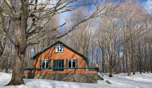 Pinecone Chalet - Private Cozy Cabin - Great Location