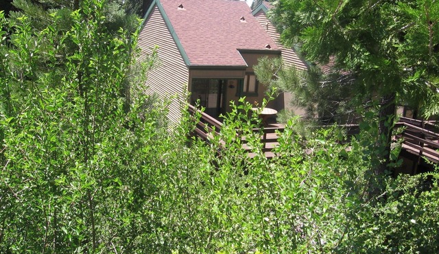 PinecrestAreaRentals #6 Book 2nights get 3rd free in March/April.