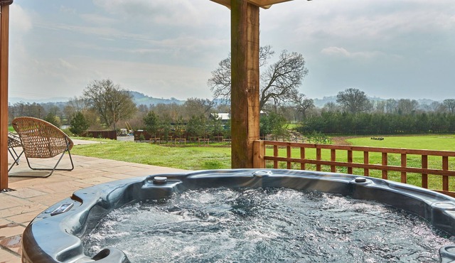 PINELANDS, family friendly in Llansantffraidd-Ym-Mechain