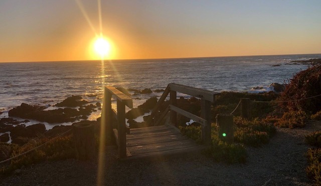 Pines by the Sea - Magical Cambria Retreat with King En-Suite!