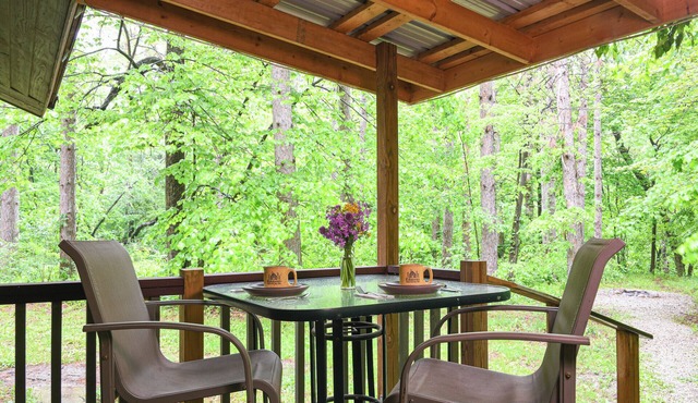 Pines cabin near Starved Rock at Kishauwau Cabins - 2 adults, no kids or animals