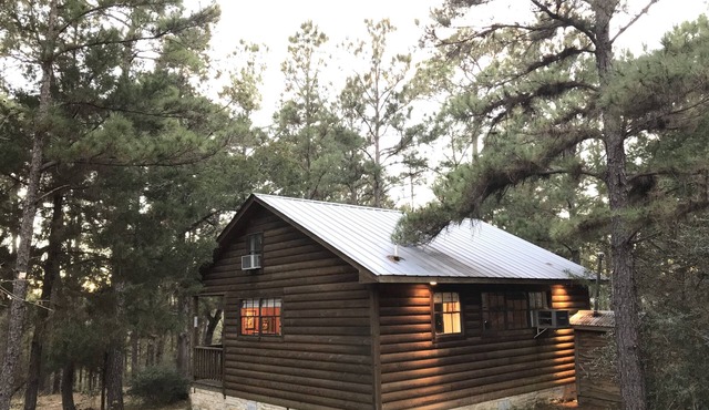 Piney Woods Cabin