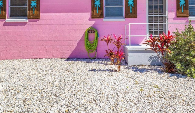 Pink Flamingo | Dunedin Vacation Rental