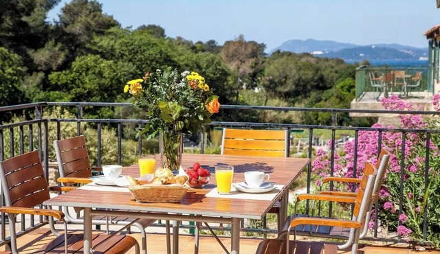 Pinot - Domaine de la Navicelle