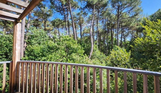 Pins et marée" apartment, where the forest meets the ocean. Bassin d'Arcachon.