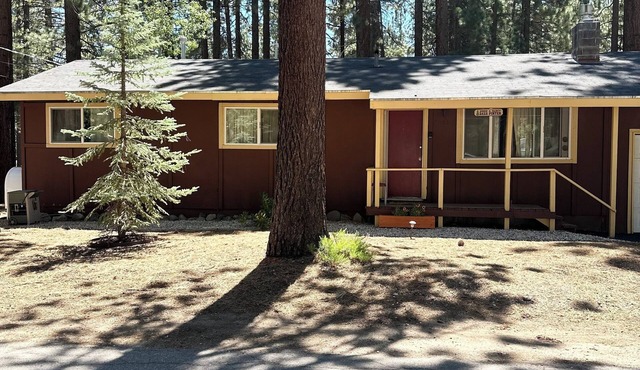 Pinter Pines, Your Cozy Midtown Retreat | CYH0822