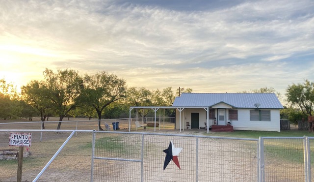 Pinto Paradise Ranch