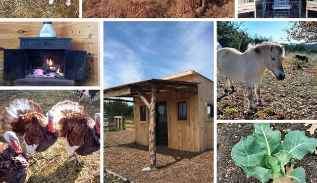 Pioneer Cabin and Wood Fired Sauna on Our Sustainable Off Grid Educational Farm