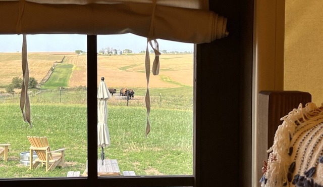 Pioneer's Dream~1883 Inspired~Covered Wagon~BISON~Heat and A/C