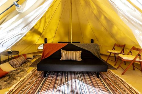 Pioneering Pet-Friendly Glamping: Mt. Laguna's Original Nature Lovers' Retreat