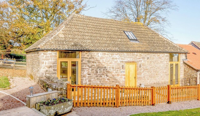 Pipistrelle - UK30758