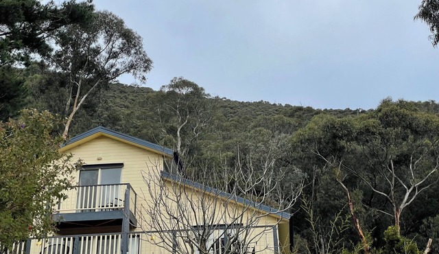 'Pippa's Place'nFamily friendly, newly renovated sanctuary atop Mt Little Joe